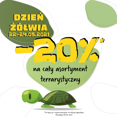 Promocja Dzień Żółwia w ZooKarina Dzień Żółwia w ZooKarina