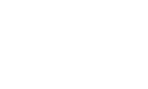 Coccodrillo logo