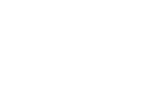 DOMINIUM logo