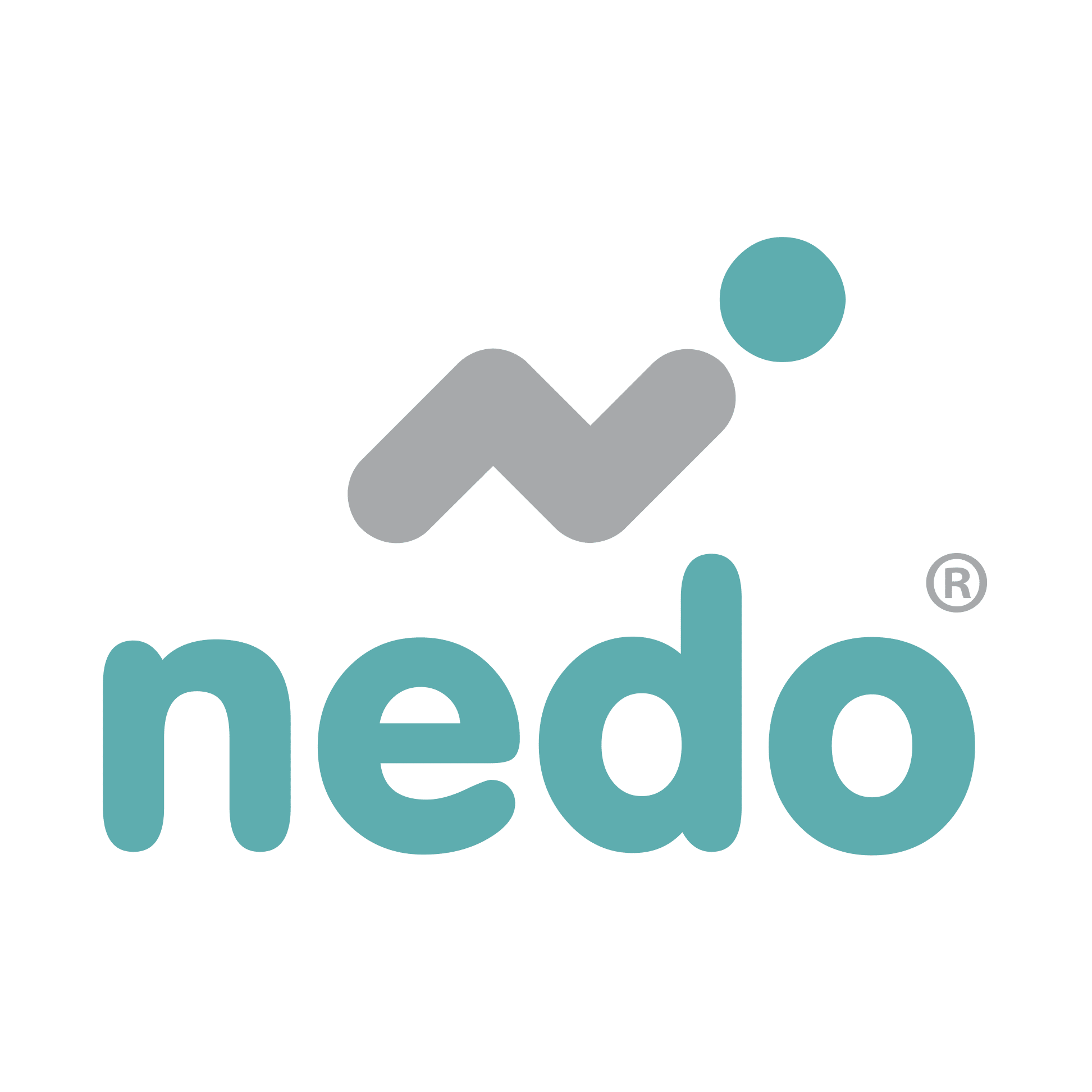 Nedo24 logo