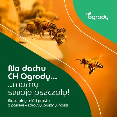 Na dachu CH Ogrody mamy swoje pszczoły!