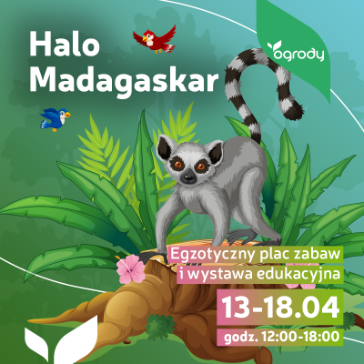 Halo Madagaskar! Tropikalny plac zabaw w Ogrodach