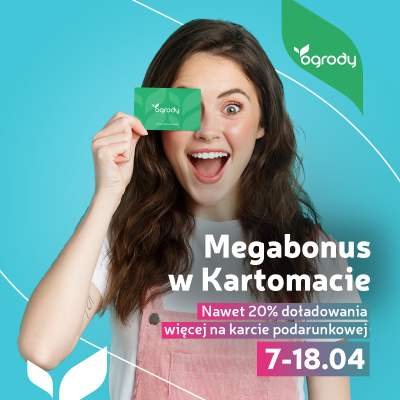 Megabonus w Kartomacie