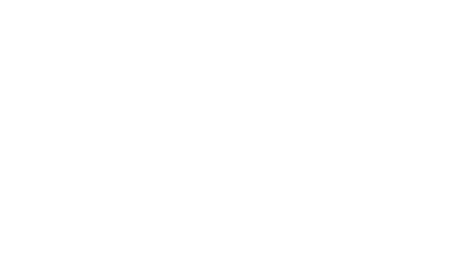 Silver Dragon logo
