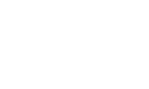 VISTULA logo